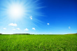 5407896-fresh-green-grass-with-bright-blue-sky.jpg